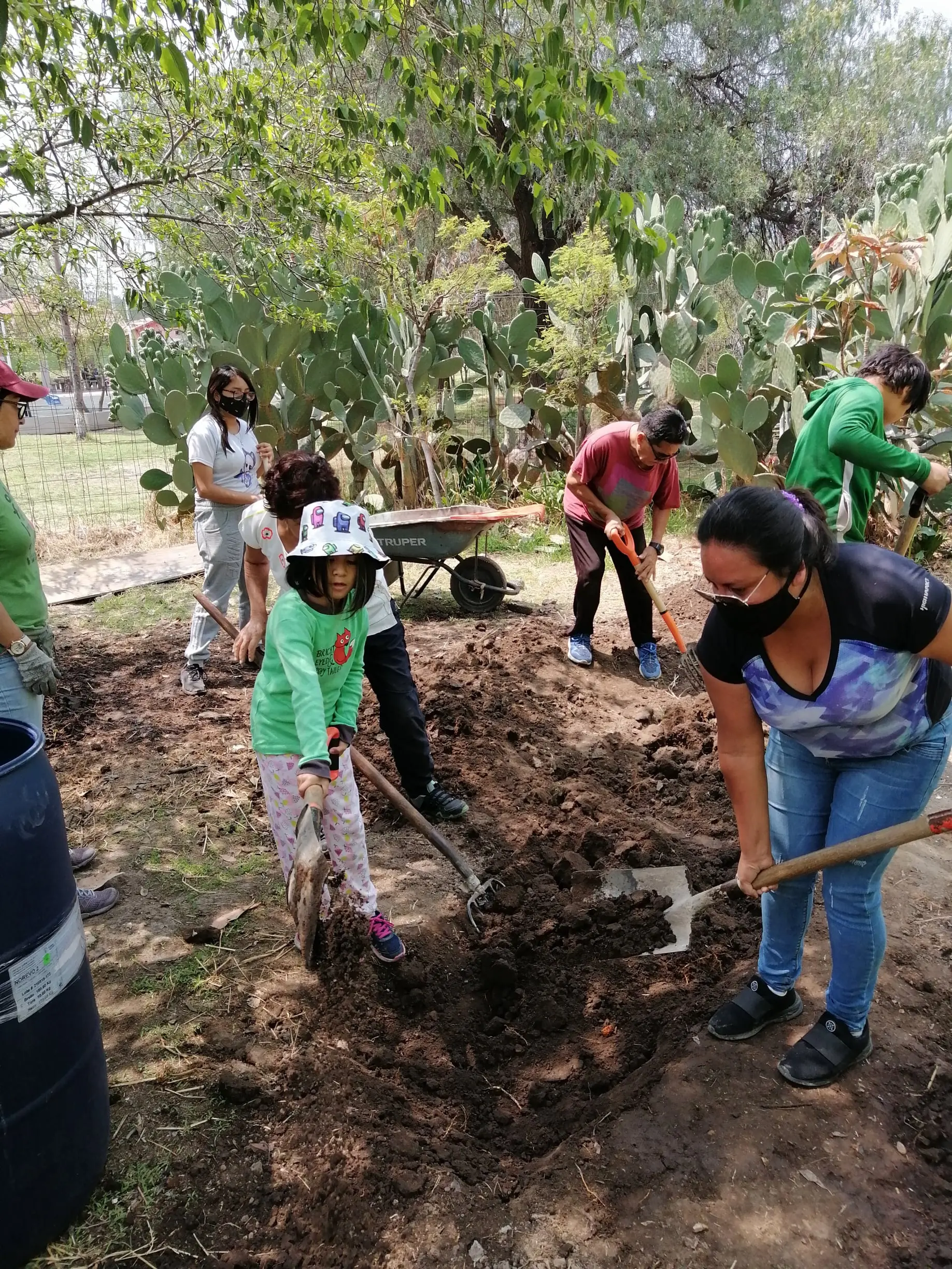 Terrazas de cultivo